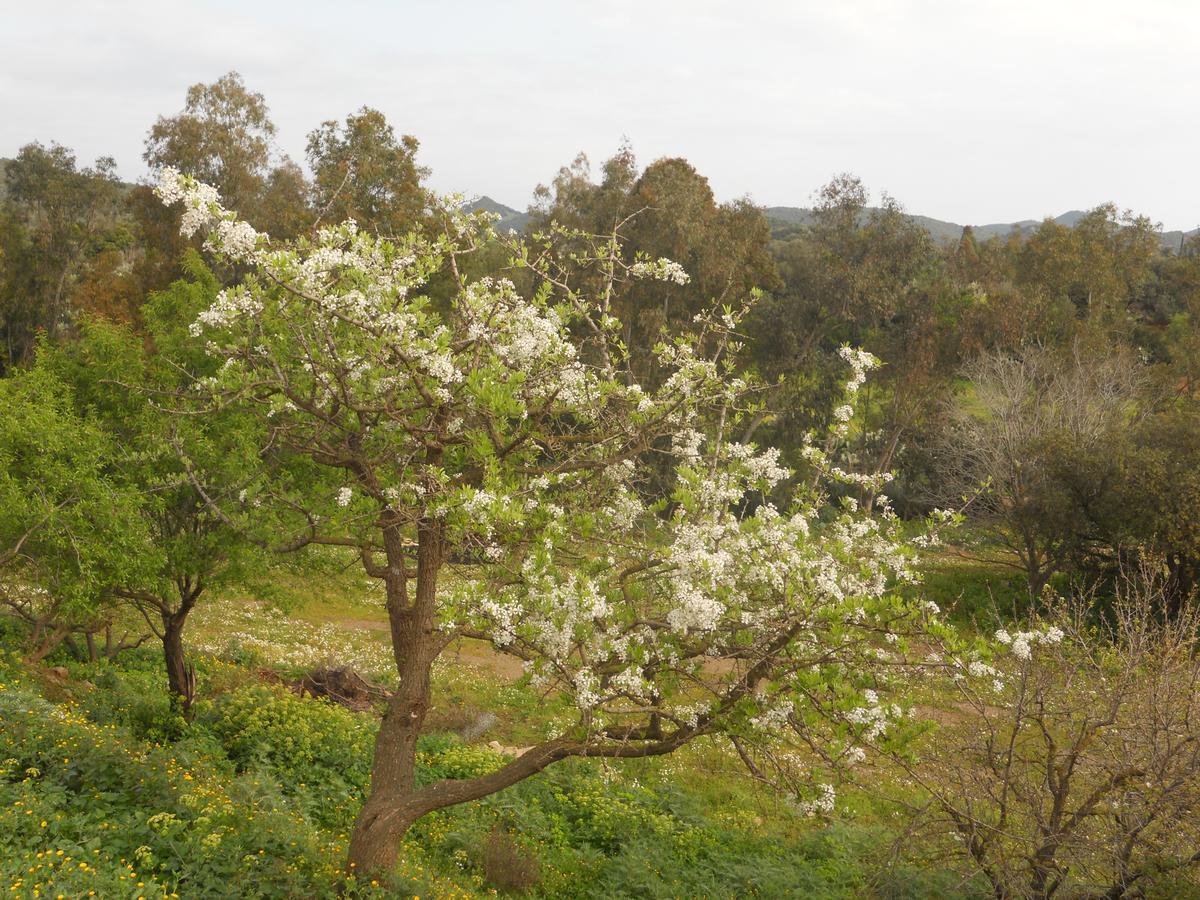 Agriturismo Marongiu Villaputzu Εξωτερικό φωτογραφία